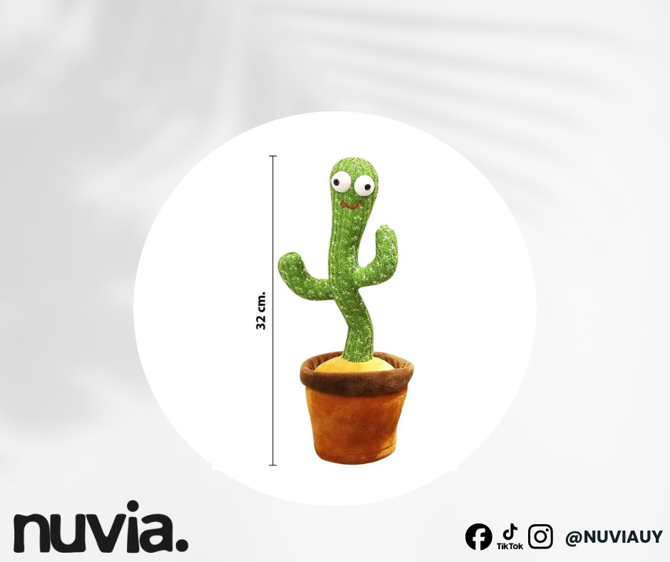 Cactus bailarin NUVIA