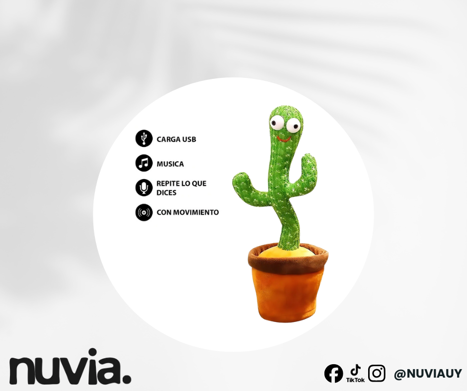 Cactus bailarin NUVIA
