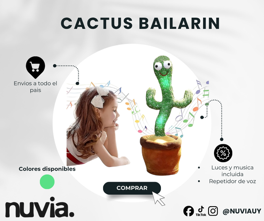 Cactus bailarin NUVIA
